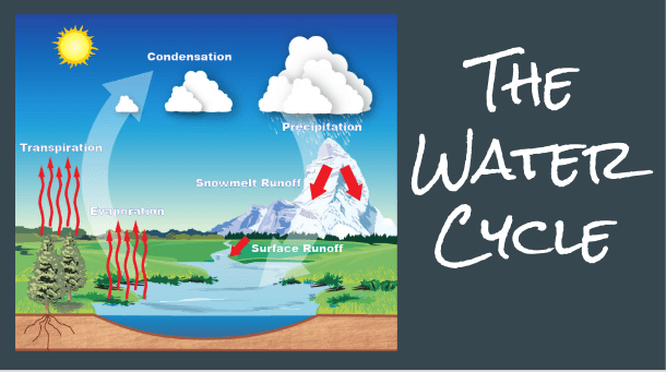 Screen Shot 2019-08-14 at 10.06.54 PM